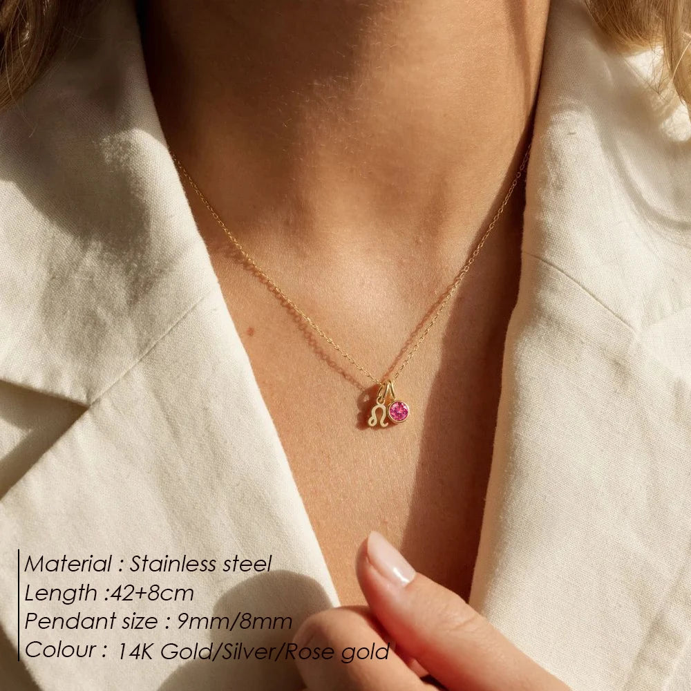 Zirconia Double Pendant Stainless Steel Necklace